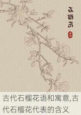 古代石榴花语和寓意,古代石榴花代表的含义