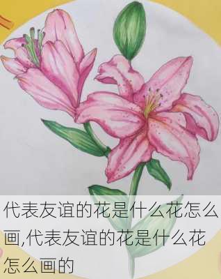 代表友谊的花是什么花怎么画,代表友谊的花是什么花怎么画的