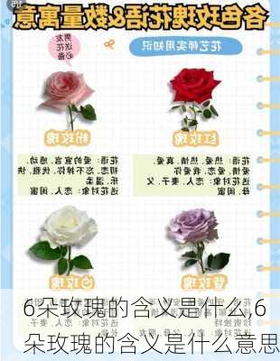 6朵玫瑰的含义是什么,6朵玫瑰的含义是什么意思