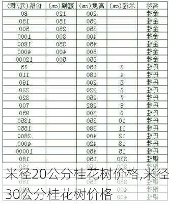 米径20公分桂花树价格,米径30公分桂花树价格