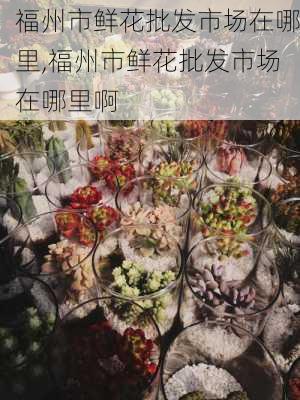 福州市鲜花批发市场在哪里,福州市鲜花批发市场在哪里啊