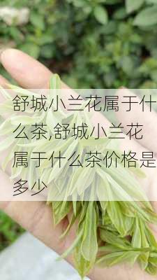 舒城小兰花属于什么茶,舒城小兰花属于什么茶价格是多少