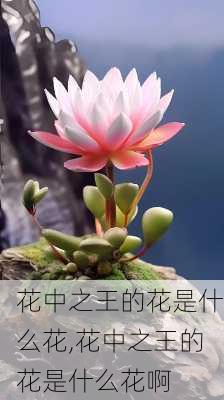 花中之王的花是什么花,花中之王的花是什么花啊