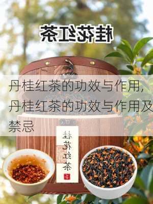 丹桂红茶的功效与作用,丹桂红茶的功效与作用及禁忌