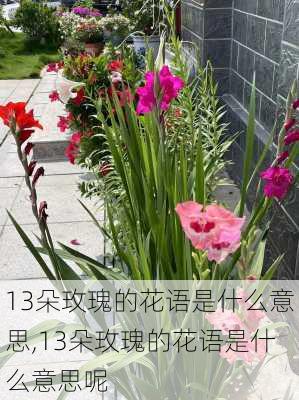 13朵玫瑰的花语是什么意思,13朵玫瑰的花语是什么意思呢