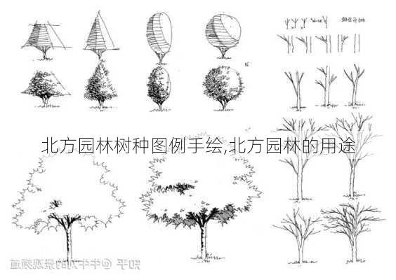 北方园林树种图例手绘,北方园林的用途