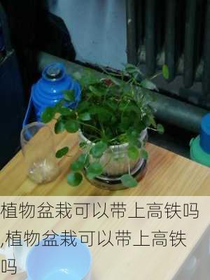 植物盆栽可以带上高铁吗,植物盆栽可以带上高铁吗