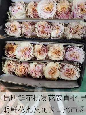 昆明鲜花批发花农直批,昆明鲜花批发花农直批市场