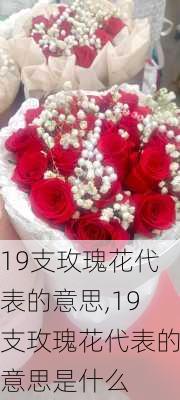 19支玫瑰花代表的意思,19支玫瑰花代表的意思是什么