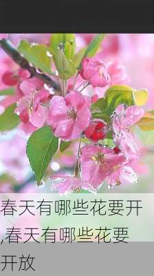 春天有哪些花要开,春天有哪些花要开放