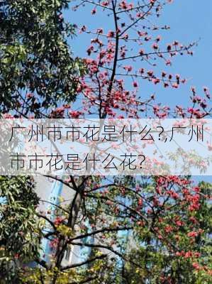 广州市市花是什么?,广州市市花是什么花?