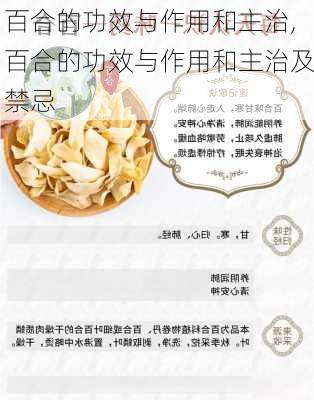 百合的功效与作用和主治,百合的功效与作用和主治及禁忌