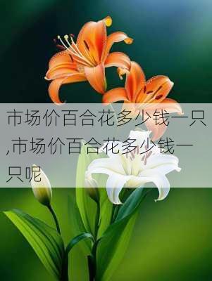 市场价百合花多少钱一只,市场价百合花多少钱一只呢