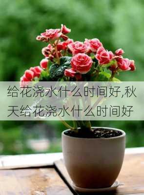 给花浇水什么时间好,秋天给花浇水什么时间好