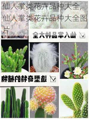 仙人掌类花卉品种大全,仙人掌类花卉品种大全图片