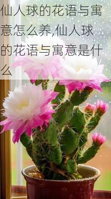 仙人球的花语与寓意怎么养,仙人球的花语与寓意是什么