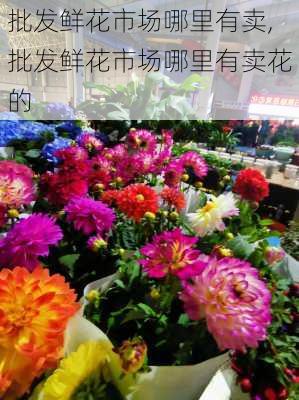 批发鲜花市场哪里有卖,批发鲜花市场哪里有卖花的