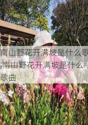 南山野花开满坡是什么歌,南山野花开满坡是什么歌曲