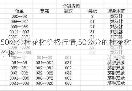 50公分桂花树价格行情,50公分的桂花树价格