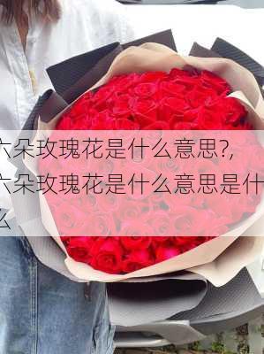 六朵玫瑰花是什么意思?,六朵玫瑰花是什么意思是什么