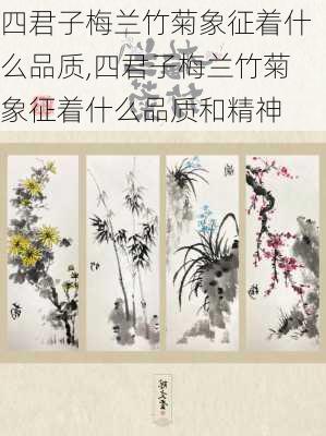 四君子梅兰竹菊象征着什么品质,四君子梅兰竹菊象征着什么品质和精神