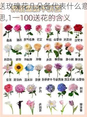 送玫瑰花几朵各代表什么意思,1一100送花的含义