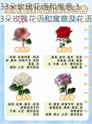 33朵玫瑰花语和寓意,33朵玫瑰花语和寓意及花语