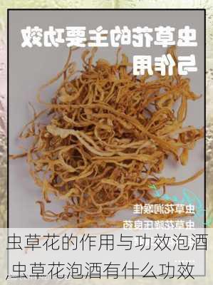 虫草花的作用与功效泡酒,虫草花泡酒有什么功效