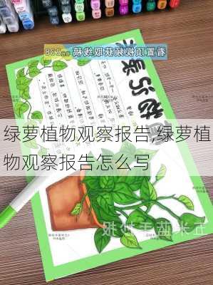 绿萝植物观察报告,绿萝植物观察报告怎么写