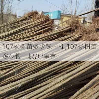 107杨树苗多少钱一棵,107杨树苗多少钱一棵?那里有