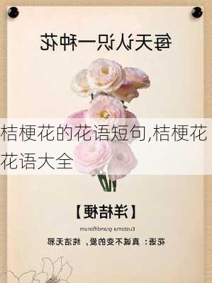 桔梗花的花语短句,桔梗花花语大全