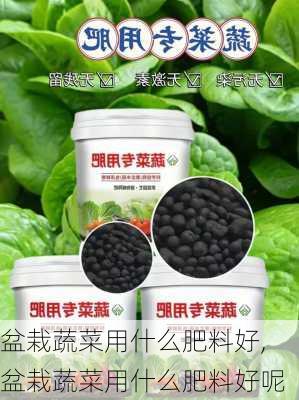 盆栽蔬菜用什么肥料好,盆栽蔬菜用什么肥料好呢