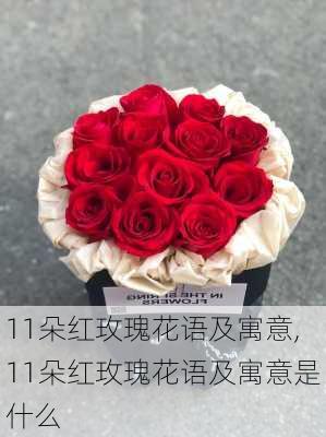 11朵红玫瑰花语及寓意,11朵红玫瑰花语及寓意是什么