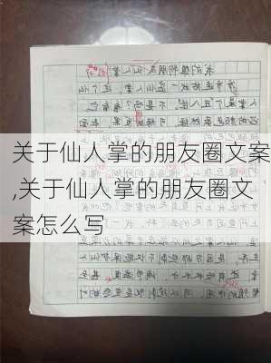 关于仙人掌的朋友圈文案,关于仙人掌的朋友圈文案怎么写