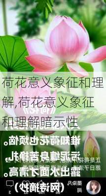 荷花意义象征和理解,荷花意义象征和理解暗示性