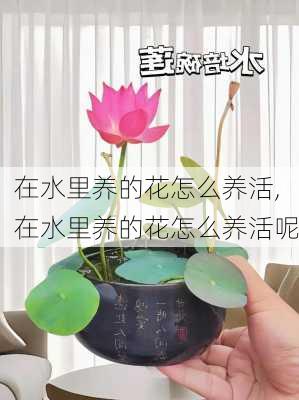 在水里养的花怎么养活,在水里养的花怎么养活呢