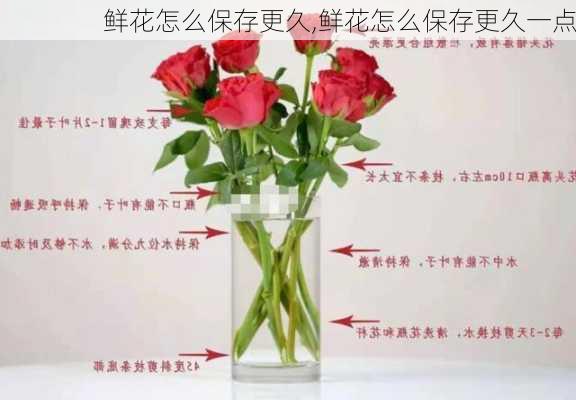 鲜花怎么保存更久,鲜花怎么保存更久一点