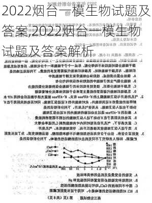 2022烟台一模生物试题及答案,2022烟台一模生物试题及答案解析