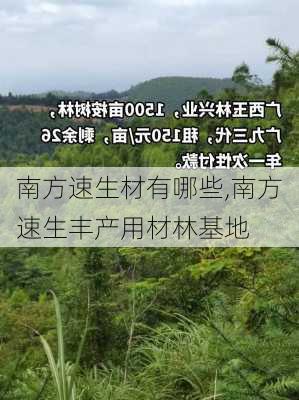 南方速生材有哪些,南方速生丰产用材林基地