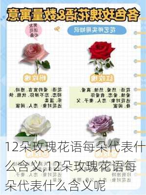 12朵玫瑰花语每朵代表什么含义,12朵玫瑰花语每朵代表什么含义呢