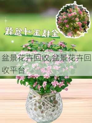 盆景花卉回收,盆景花卉回收平台