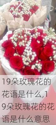 19朵玫瑰花的花语是什么,19朵玫瑰花的花语是什么意思