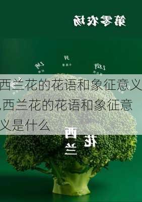 西兰花的花语和象征意义,西兰花的花语和象征意义是什么