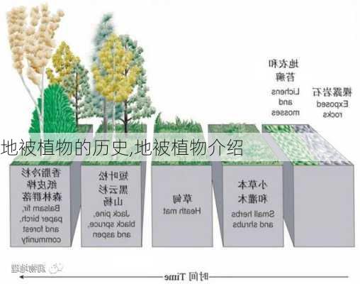 地被植物的历史,地被植物介绍