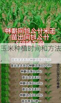 玉米种植时间和方法,