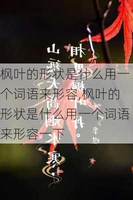 枫叶的形状是什么用一个词语来形容,枫叶的形状是什么用一个词语来形容一下