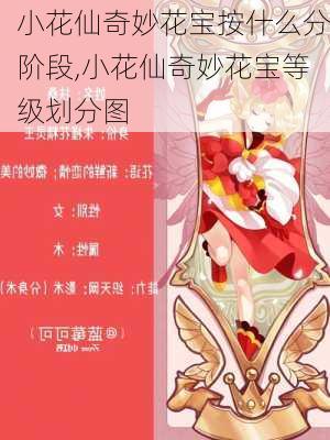 小花仙奇妙花宝按什么分阶段,小花仙奇妙花宝等级划分图