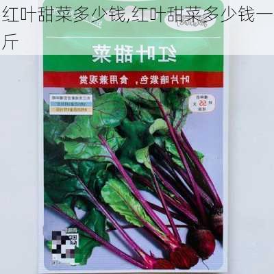 红叶甜菜多少钱,红叶甜菜多少钱一斤