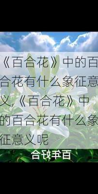 《百合花》中的百合花有什么象征意义,《百合花》中的百合花有什么象征意义呢