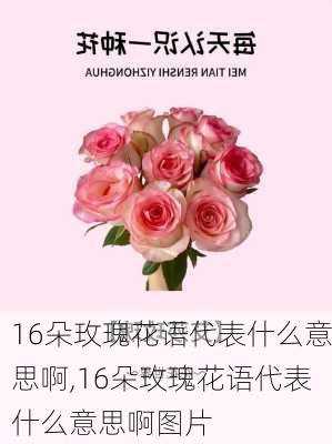 16朵玫瑰花语代表什么意思啊,16朵玫瑰花语代表什么意思啊图片